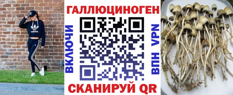 Галлюциногенные грибы GOLDEN TEACHER  Купить где  Бежецк 